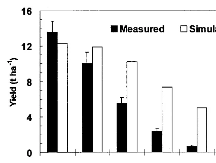 Fig. 10. Measured and simulated yields in all treatments of theCS-95 experiment for model testing