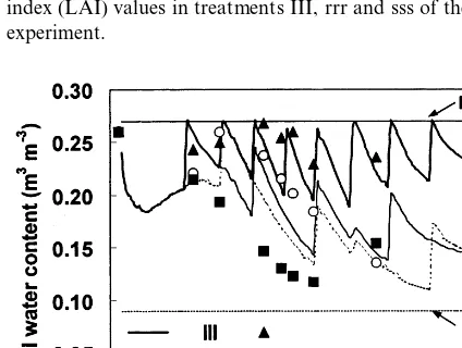 Fig. 4. Measured (symbols) and calculated (lines) leaf areaindex (LAI) values in treatments III, rrr and sss of the PHS-95experiment.