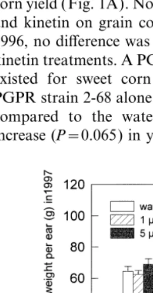 Fig. 1. PGPR and kinetin eﬀects on grain corn grain weightand sweet corn ear dry weight
