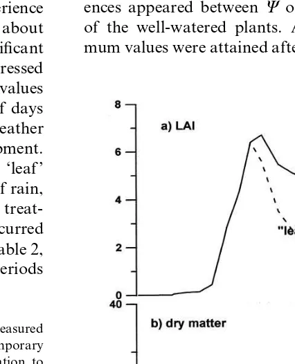 Fig. 5. Pre-dawn leaf water potential in ‘C’ and stressed (‘leaf’and ‘stem’) plots in the 1990 experiment.