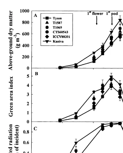 Fig. 4. Change with time in (A) above-ground dry matter, (B)green area index, and (C) interception of photosyntheticallyactive radiation in six rainfed chickpea genotypes grown in theﬁeld at Merredin, Western Australia, in 1995 (Experiment 1).The data poin