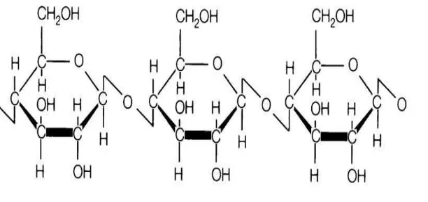 Gambar 2.7 Struktur kimia selulosa (Taylor, 1978) 