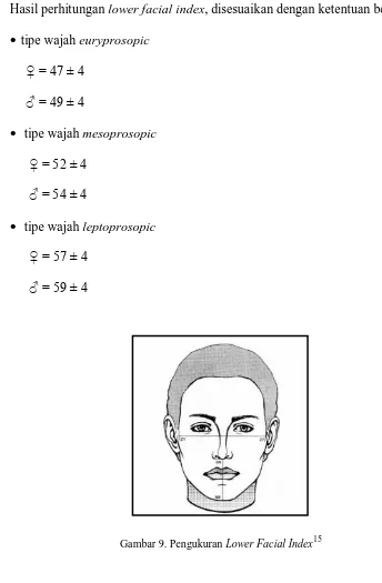 Gambar 9. Pengukuran Lower Facial Index15 