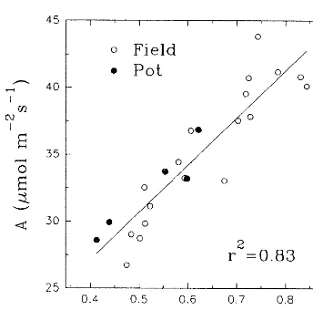 Fig. 6. Relationship between assimilation rate (Aatal coductance for COmerging both ﬁeld () and stom-2 (gsc) at ambient CO2 concentration�) and pot (�) experiments withsunﬂower.
