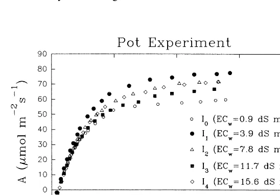 Fig. 4. A/ci response curves measured in the pot experiment for each salinity treatment.