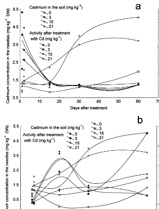 Fig. 4. Parallel increase of cadmium concentration in the needles and change in peroxidase activity of soluble (a) and cell wall-bound(b) fraction with increasing cadmium concentration in the soil.