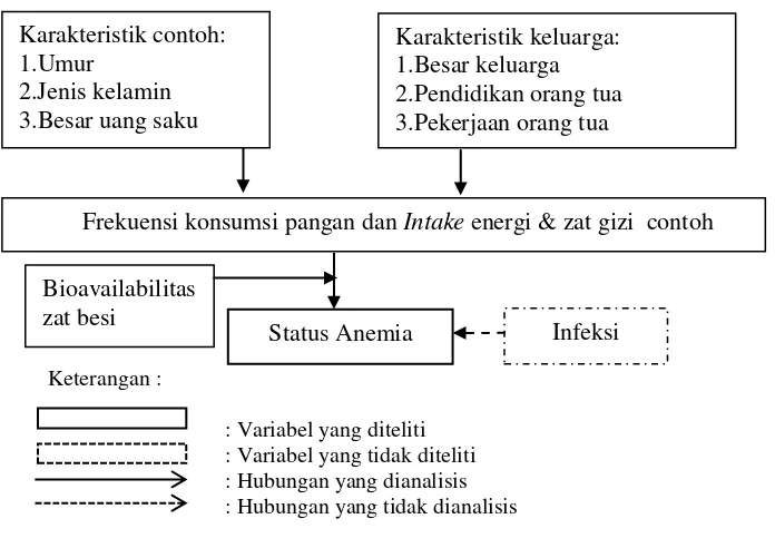 Gambar 1 Bagan kerangka pemikiran hubungan antara bioavailabilitas intake zat besi dengan status anemia remaja di Yogyakarta dan Padang 