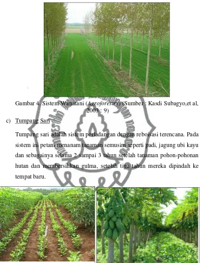 Gambar 4. Sistem Wanatani (Agroforestry) (Sumber : Kasdi Subagyo,et al, 