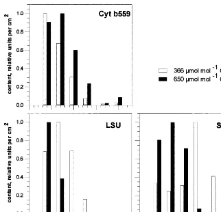 Fig. 4. Contents of different proteins (relative units per cm2 leaf area) during ﬂag leaf senescence in spring barley crops exposed toambient or elevated CO2 and fertilized with 140 kg N ha−1