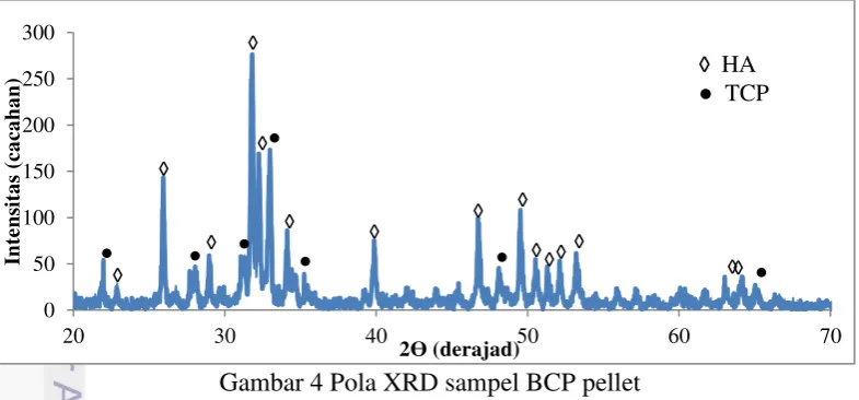 Gambar 3 Pola XRD sampel BCP serbuk 