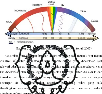 Gambar 2.5. Spektrum Gelombang Mikro (Ramtohul, 2003) 