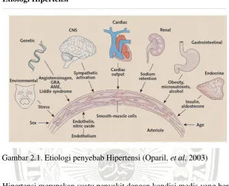 Gambar 2.1. Etiologi penyebab Hipertensi (Oparil, et al, 2003) 