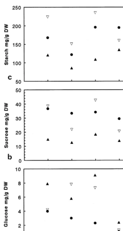 Fig. 4. Intermediates of carbohydrate metabolism (means) inrelation to UV-B irradiation in sugar maize at different leafstage (n=16)