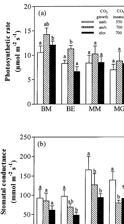 Fig. 1. (a) Photosynthetic rate and (b) stomatal conductance(whole shoots) ofmolmolgrown at elevated COminima(within a species (LSD, * B