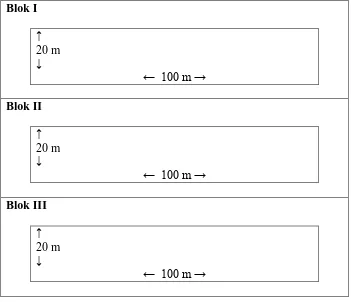 Gambar 1. Lay out plot contoh pengukuran (transek pengukuran) 
