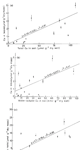 Fig. 3. Relationship among the Cu concentration in roots (a, b) and leaves (c, d) and the water-soluble and total Cu concentrationof the soil after 5 weeks of growth.