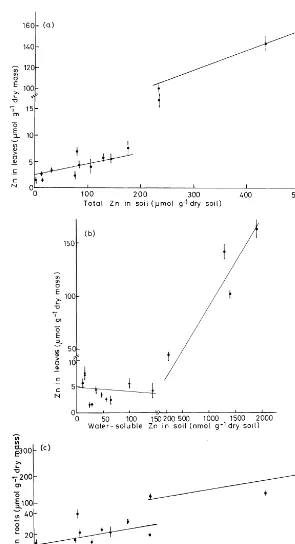 Fig. 2. Relationship among the Zn concentration in roots (a, b) and leaves (c, d) and the water-soluble (b, d) and total Znconcentration of the soil after 5 weeks of growth.