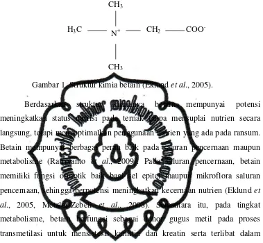 Gambar 1. Struktur kimia betain (Eklund et al., 2005). 