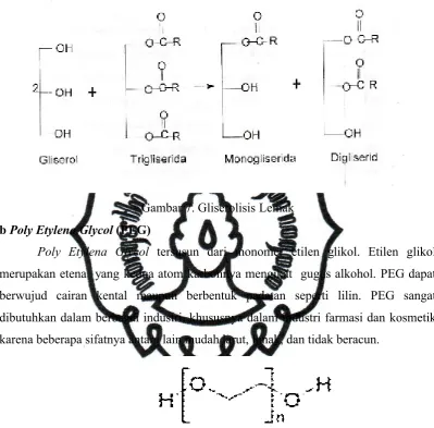 Gambar 7. Gliserolisis Lemak