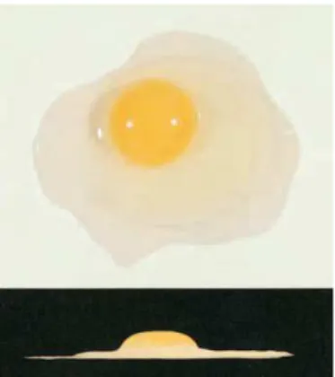 Gambar 2.2 “Grade AA”  Gambar 2.3 “Grade A” 