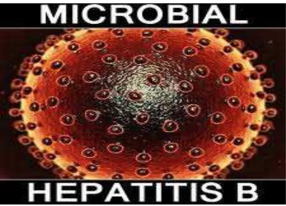 Gambar 2.3. Gambar virus hepatitis B 