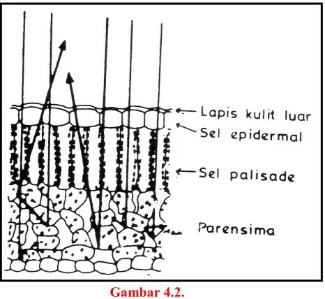 Gambar 4.2.  
