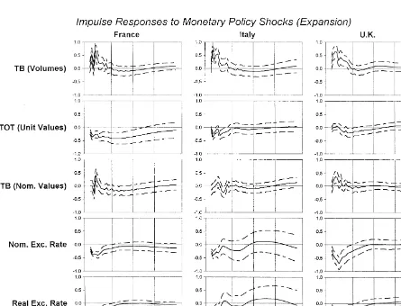 Fig. 1. Impulse responses to monetary policy shocks.