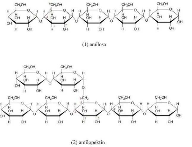 Gambar 3. Struktur Kimia dari (1) Amilosa dan (2) Amilopektin