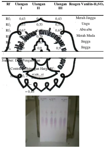 Tabel 4. Hasil Perhitungan RF Minyak Atsiri Kayu Putih dari KLT 