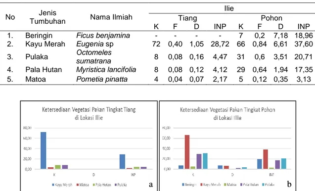 Tabel 2. Ketersediaan jenis tumbuhan pakan burung Julang Irian di titik pengamatan Ilie 