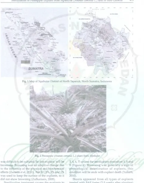 Fig. 1 Map of Sipahutar District of North Tapanuli, North Sumatra, Indonesia 