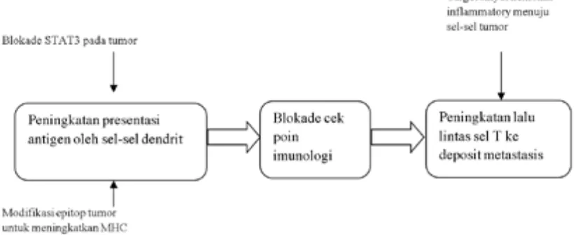 Gambar 6.2. Mekanisme sistem imun mendeteksi keberadaan sel tumor.