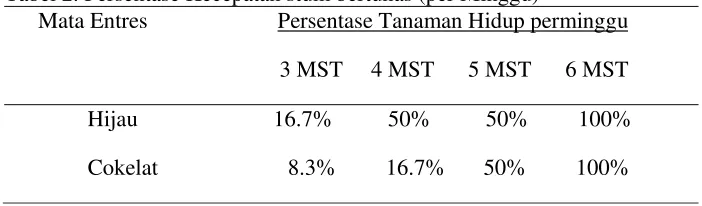 Tabel 2. Persentase Kecepatan stum bertunas (per Minggu) 