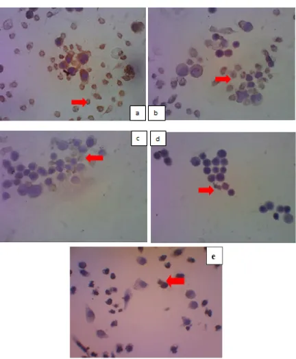 Gambar 3 Grafik hubungan antara konsentrasi EEP dengan rata-rata persentase ekspresi cyclin D1 pada sel HeLa setelah inkubasi 24 jam