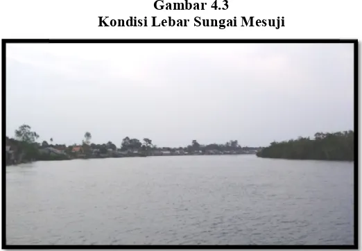 Gambar 4.3Kondisi Lebar Sungai Mesuji