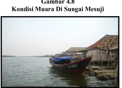 Gambar 4.7Hinterland Di Sungai Mesuji