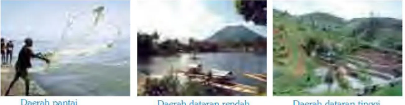 Gambar 4 Topografi Indonesia 