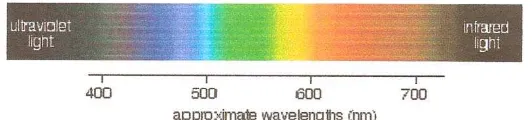 Tabel 2.1. Spektrum Warna 