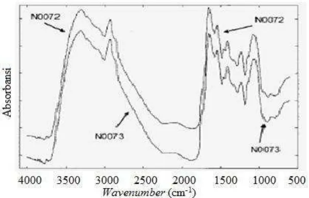 Gambar 7. Pola spektra FTIR isolat actinomycetes N0072 dan N0073.