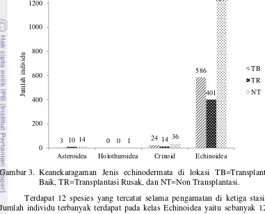 Gambar 3. Keanekaragaman Jenis echinodermata di lokasi TB=Transplantasi 