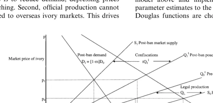 Fig. 1. Offtake and market price before and after a trade ban.