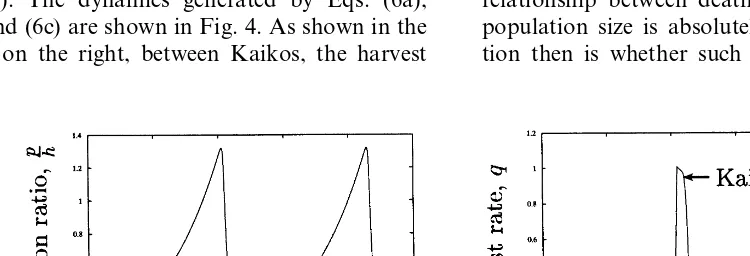 Fig. 4. The dynamics of the ritual cycle. Between Kaikos, the harvest rate is very low