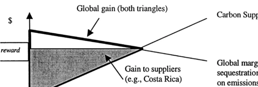 Fig. 3. Simple illustration of carbon supply and social value.