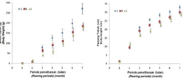 Gambar 3. Pola pertambahan panjang dan berat ikan bandeng (Lenght and growth rate patterns of 