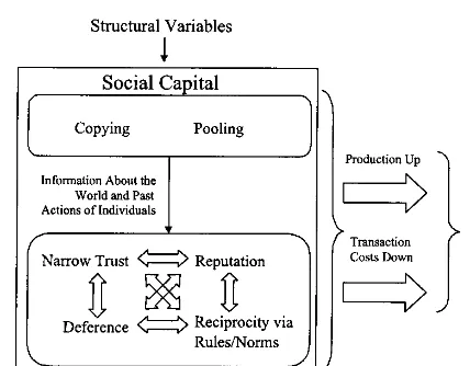 Fig. 1. Structural variables, social capital and net beneﬁts