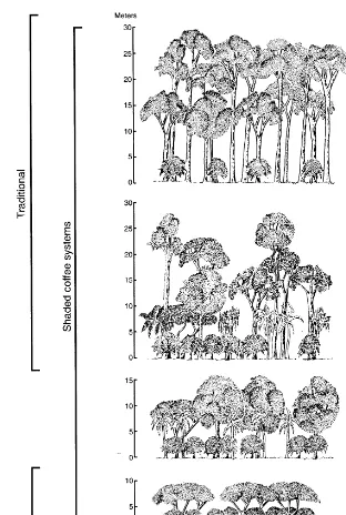 Fig. 1. Coffee production systems according to shade gradient and composition. Modiﬁed from Moguel and Toledo, 1999.