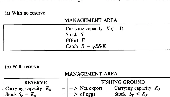 Fig. 1. Deﬁnition of management area, reserve and ﬁshing ground.