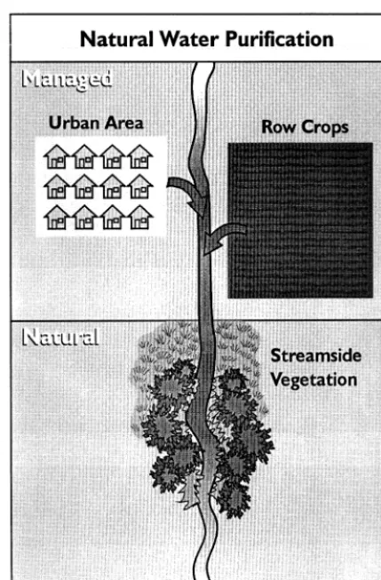 Fig. 1. Example of individual ecosystem service diagram.