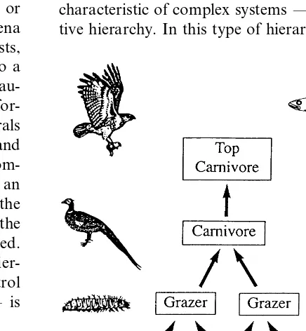Fig. 2. The food chain as an example of an exclusive hier-archy. Source: Allen and Hoekstra (1992): 33).