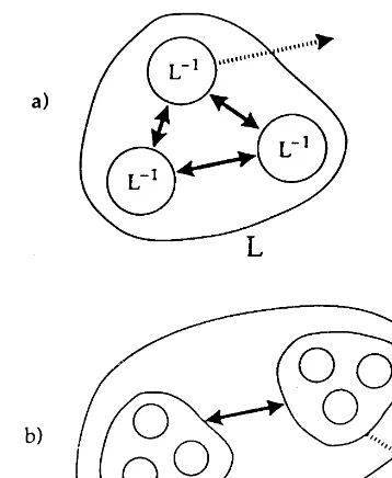Fig. 5. L is the level in question; L−the outside world beyond L become the strong connectionswithin level LL1 is the next level down; +1 is the level above